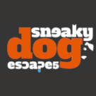 Sneaky Dog Escapes