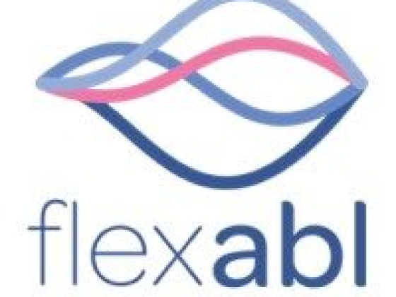 Flex ABL Ltd
